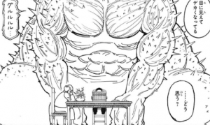 送料無料 ホイコーロ様専用 超人気の Www Richcoastcr Com