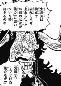 ゴムゴムの実の覚醒 真の能力ニカニカについて紹介 漫画レジェンド